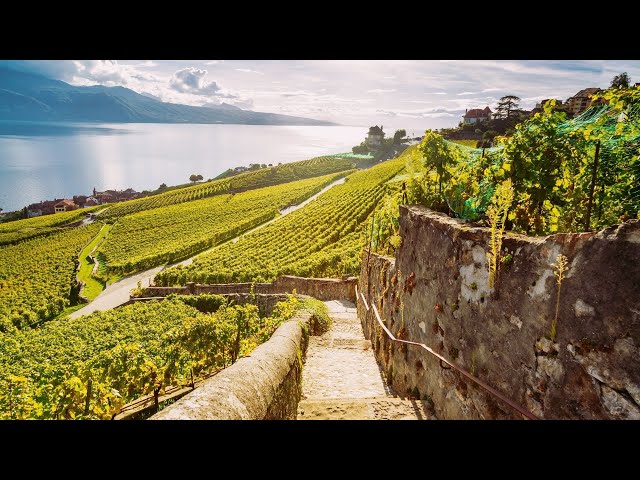 Média de PRIVILEGE Immobilier & Conseil - Nathalie Guerry - n°2