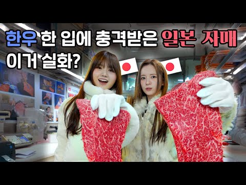 아이콘