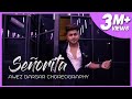 Señorita | Awez Darbar Choreography