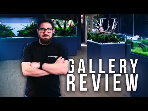 What Would Tommy CHANGE About EACH Aquarium In The Green Aqua Gallery?