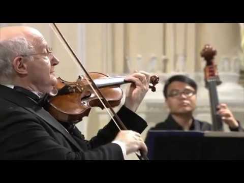 Antonio Vivaldi – Violin Concerto in g-minor, RV 317