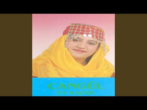 Video Yükleniyor...