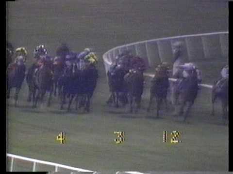 1988 Hollywood Derby