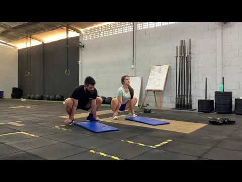 Praticas Educacionais II   video