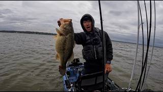 I may never catch a fish like this again