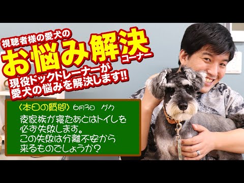 うちの犬が夜寝ないのですがどうすればいいでしょうか?