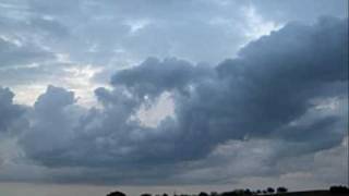 wizo schlechte laune