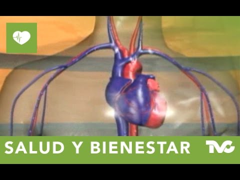 Dibazol instrucciones para el uso de inyecciones de precio Hipertensión sanguijuela contra