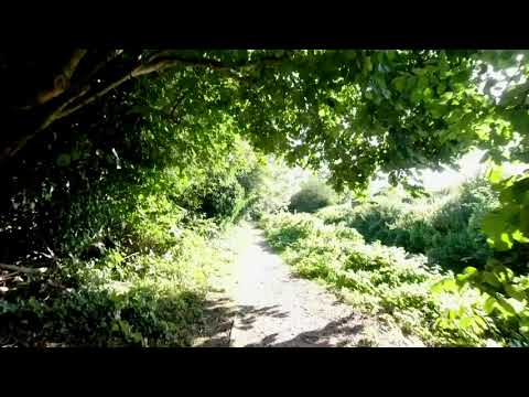 Brendan Power - THE MONAGHAN JIG - Bikes & Harps Series #27