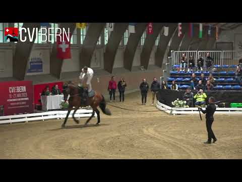 CVI Bern 2023 - Sa - 2* Free Test 1