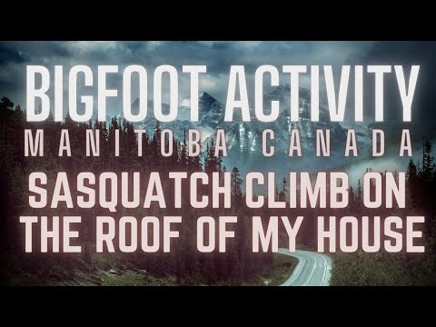 BIGFOOT VISITS PROPERTY IN MANITOBA CANADA | SASQUATCH ON MY ROOF