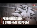 Дабы не получить обморожения. Службы советуют жителям региона ограничить пребывание на открытом воздухе и длительные поездки