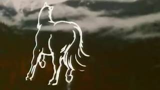 The iCiCLE WORKS ~ Hollow Horse (music video)