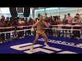 Conor McGregor And The Pony Dance Training