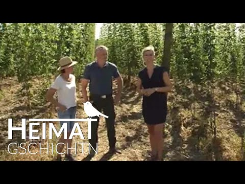 Heimatgschichtn - beim Doimerhof in Pfaffenhofen an der Ilm