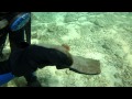 Picture taken during the dive