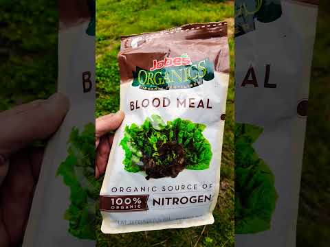 2 Nutrients To Rescue Your Cucumber Plants From Yellowing Leaves!