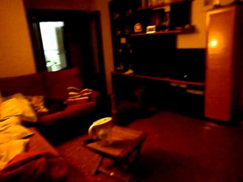 Paloma loquisima jajaj