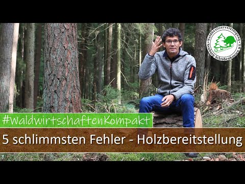 Die 5 schlimmsten Fehler bei der Holzbereitstellung - Waldwirtschaften Kompakt