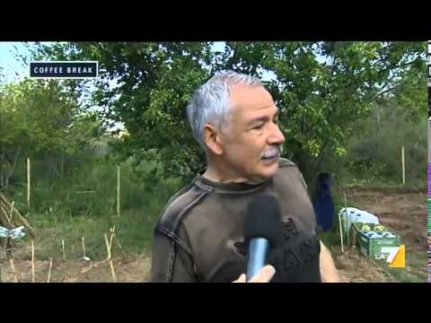 ZOLLE URBANE Coffee Break   Puntata 22 04 2014