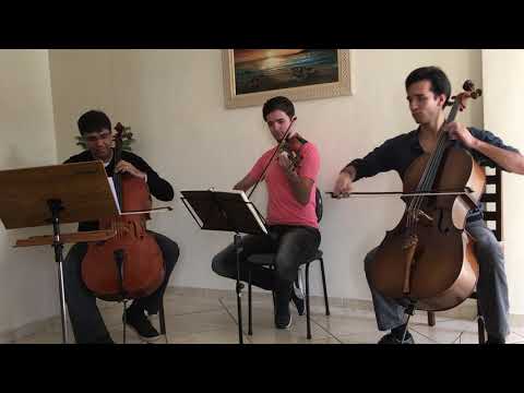 CCB - Hino 312 - Tributos de louvor - Trio de Cordas, Hinario 5