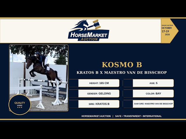 Kosmo B