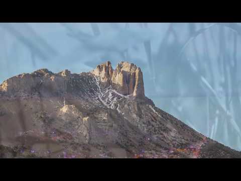 In The Branches - The Fall Of Man (Official Video) ambient guitar, dark ambient, ambient post-rock