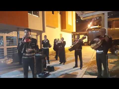Promotional video thumbnail 2 for Mariachi Orión
