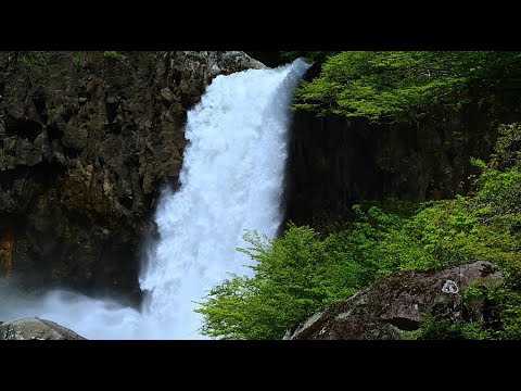 Las 100 mejores cascadas de Japón Naena Falls con vegetación fresca/4K