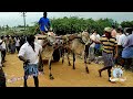 Munnam Raja Mudivarthi Bulls At Mudivarthi Ox Race