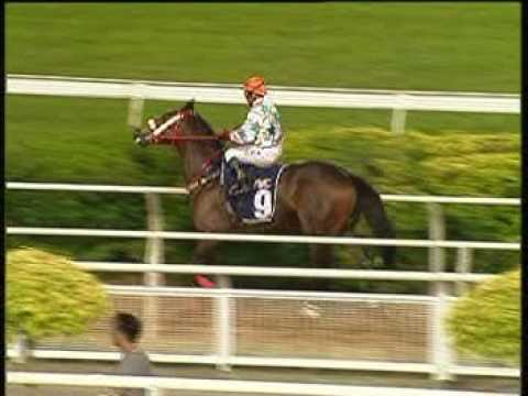 [澳門賽馬]賽事重溫 -- 2008年10月25日第十四場