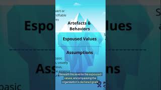 Schein on Organizational Culture