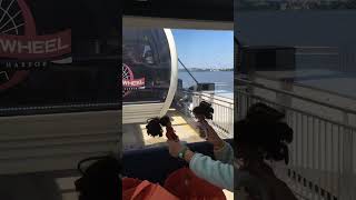 Mini Princesses in Washington DC! Fun Ferris wheel ride