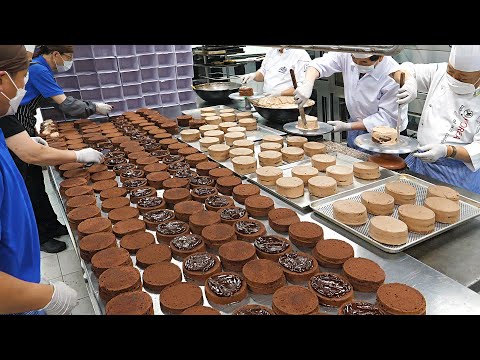 Mass production of 600 ganache chocolate cakes / Cake factory