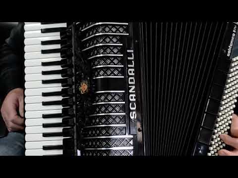 TOP Accordion Scandalli Polifonico XIV - 120 Bass, 19 sw.+Brand New Set Shoulder Straps&New Bag/Case