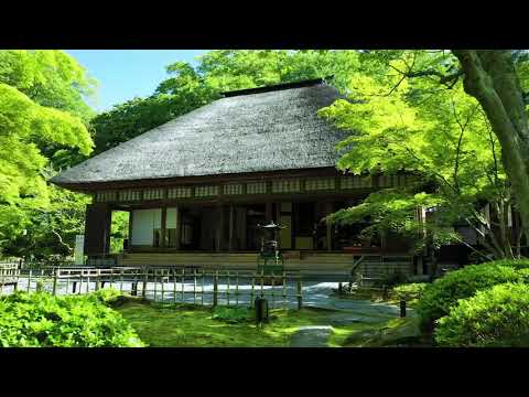 Entsuin Temple / Miyagi in Summer