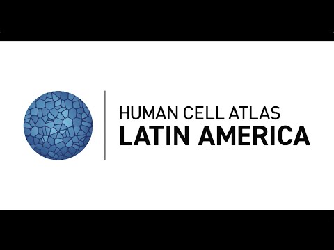Human Cell Atlas 2020: Human Cell Atlas Asia