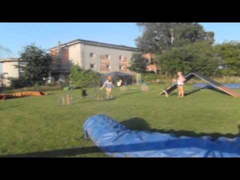 Percy | Trénink agility 01.07.2015