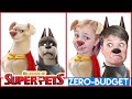 SUPER-PETS With ZERO BUDGET! DC League of Super Pets MOVIE PARODY By KJAR Crew!