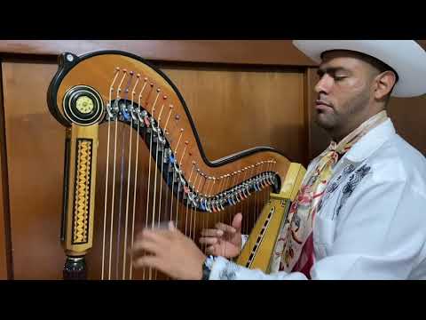 El zapateado (son jarocho)