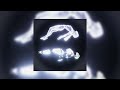 Aeao Dynamicduo Slowed Reverb