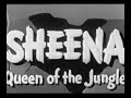 Sheena The Queen Of The Jungle