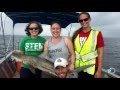 Women At The Forefront Of Shark Science