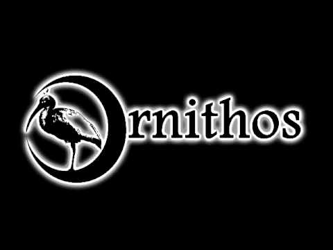 Ornithos - L'Orologio