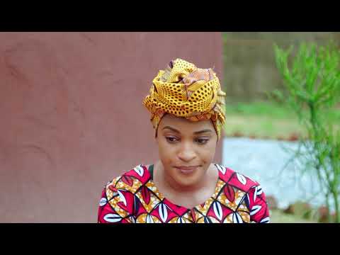 Zuba and Niko seek help -  Zuba | S 5  | Ep 253 | OneZed