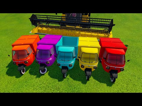 TRANSPORT OF COLORS!, HARVEST AND LOAD WHEAT WITH THREE WHEEL TRUCKS - Farming Simulator 22