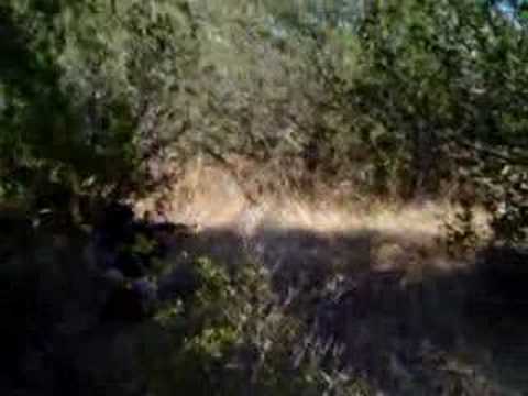 OP: Prelude To War Footage