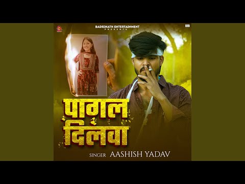 Pagal Dilwa — watch video