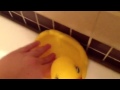I M Making Another Video In The Bathtub