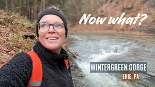 Travel Anxiety for Pets and a Hike at Wintergreen Gorge in Erie, PA
